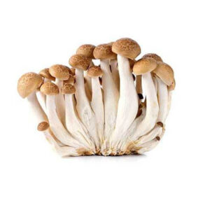LONG XING MUSHROOM SHIMEJI BROWN 150g TRAY THILAND